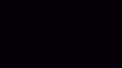 Animation Love GIF by Alastair McColl