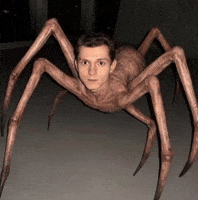 Spider-Man Marvel GIF