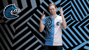 Loss No GIF by BS+COMPETITION