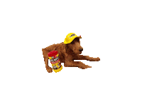 BigWipesUSA bigwipes big wipes Sticker