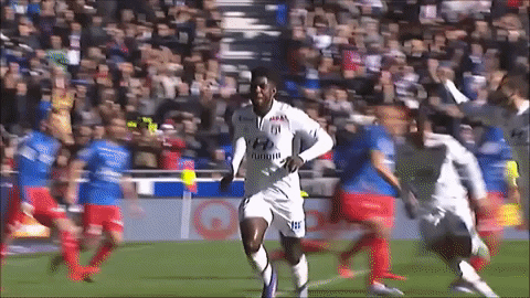 lyon GIF by Olympique Lyonnais