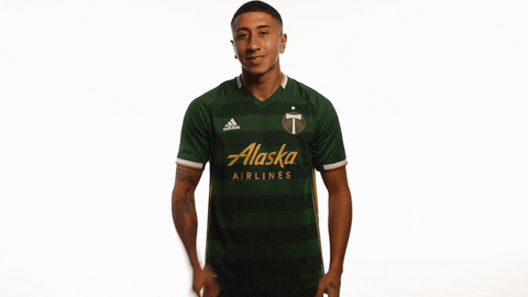Celebrate Portland Timbers GIF by Timbers