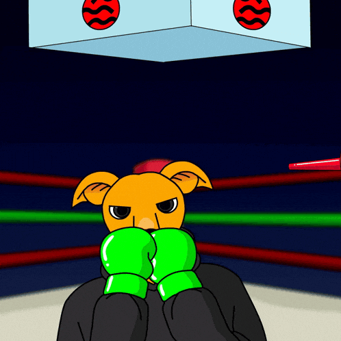 Winning Shiba Inu GIF by MILLI