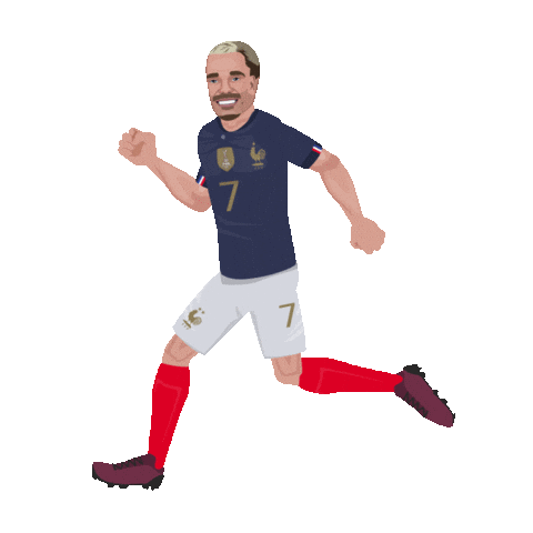 France Football Sticker by Panini America