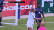 Washington Spirit Sport GIF by National Women's Soccer League