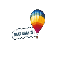 Tersteegeballonfestival Sticker by Ballonfestival Hardenberg