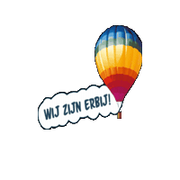 Tersteegeballonfestival Sticker by Ballonfestival Hardenberg