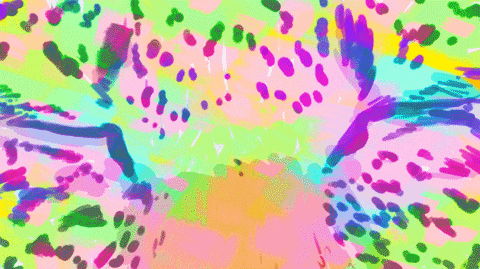 cat GIF by Phazed