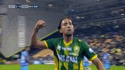 GIF by FOX Sports