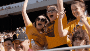 Football College GIF by Sun Devils
