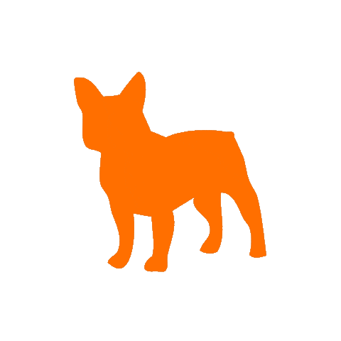 Dog Orange Sticker by Rogue Creatives