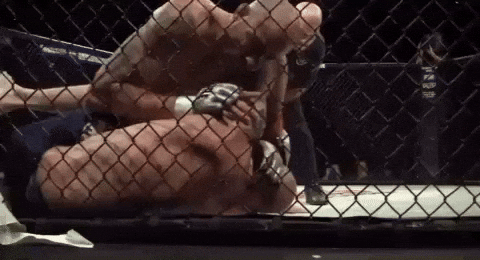 10P GIF by The Hive MMA