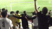 kayafc club cheer fans jumping GIF