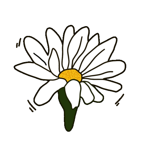 Stassy Белый Цветок Sticker