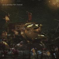 Sing A Song Dancing GIF by La Guarimba Film Festival