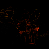 Art Cat GIF by kim noce