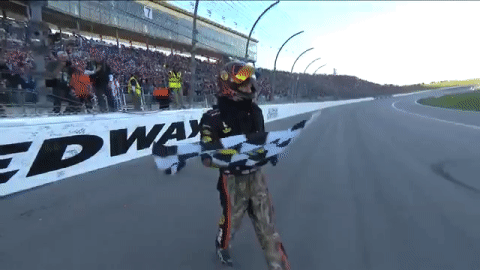 martin truex jr win GIF by NASCAR