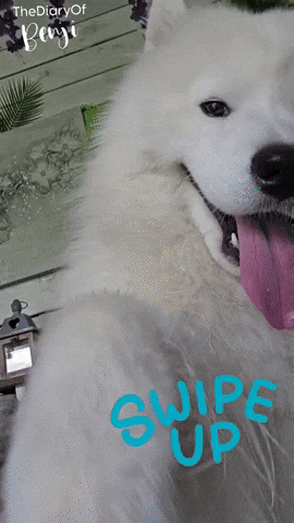 Swipe Click GIF