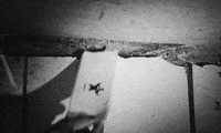 Grey Scale GIF by DUCKWRTH