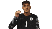 Soccer Goalkeeper Sticker by Carson-Newman Athletics