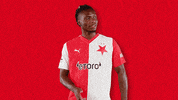 Football Soccer GIF by SK Slavia Praha