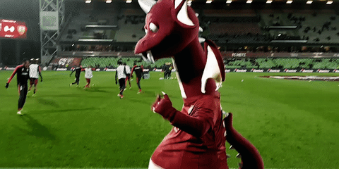 fc metz football GIF