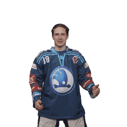 Hockey Thumbs Up Sticker by HC Škoda Plzeň