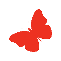 smeadvies dvdd dagvandeduurzaamheid dvdd21 dvddo21 Sticker