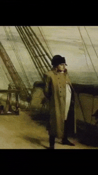 gigaushakbugra napoleon GIF