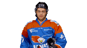 unisflyers goal eagles flyers nederland Sticker