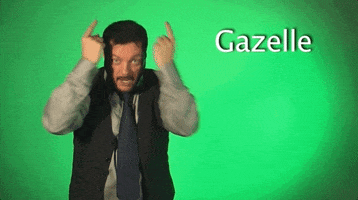 sign language gazelle GIF by Sign with Robert