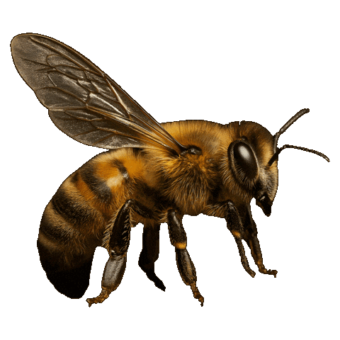 Flourishing Design Center Sticker by DTI Design Center of the Philippines