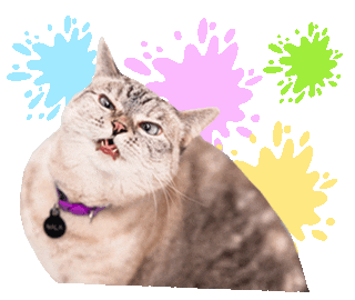 nalacat whitecoffeecat Sticker