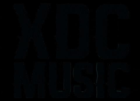 soultechfestival giphygifmaker xdcmusic GIF