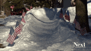 GIF by nextwithkyleclark