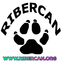 Ribercan  GIF