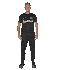 Vbl Gaucho Sticker by RB Leipzig