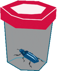 Bio Expedition Sticker by echtkuhl