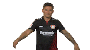 bayer leverkusen love Sticker by Bundesliga