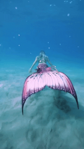Finfolk GIF by Mermaid Sirenity