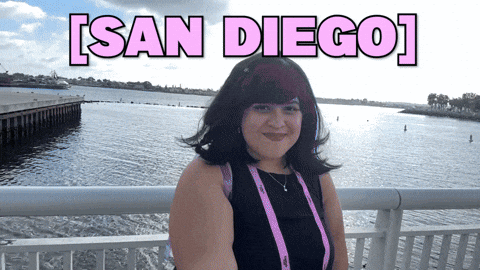 Los Angeles Travel GIF