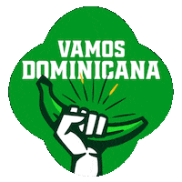 Dominican Republic Baseball Sticker by Cerveza Presidente