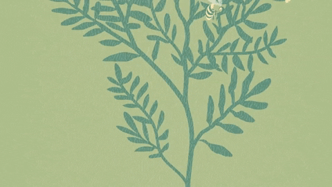 guideki giphygifmaker guideki murillocortes bee GIF