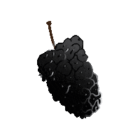 Mulberry Sticker
