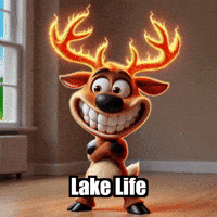 Boat Lake GIF by elkijahspark