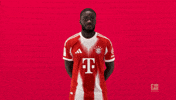 Fc Bayern Football GIF by Bundesliga