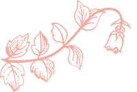 Flower No13 Sticker by Dora Natura