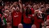 celebrate 6 nations GIF by Guinness Six Nations