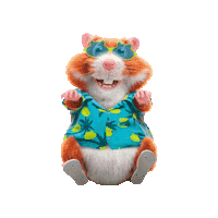 Ahdokkumhamster Sticker by Albert Heijn Dokkum