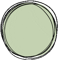 Light Green Circle Sticker